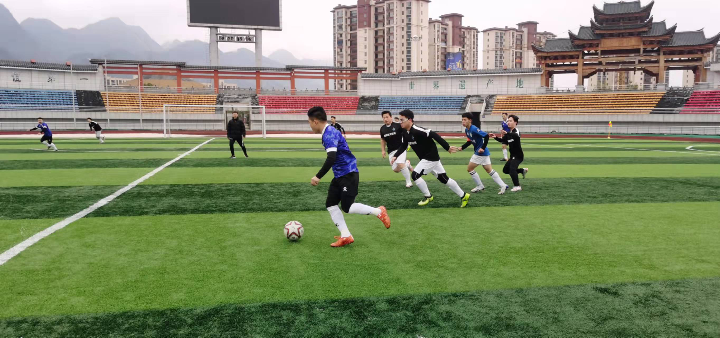 切尔西的梅 切尔西的梅